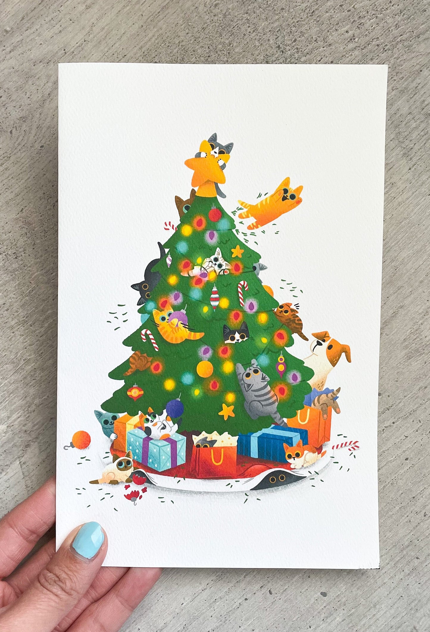 Naughty Kittens Christmas Card