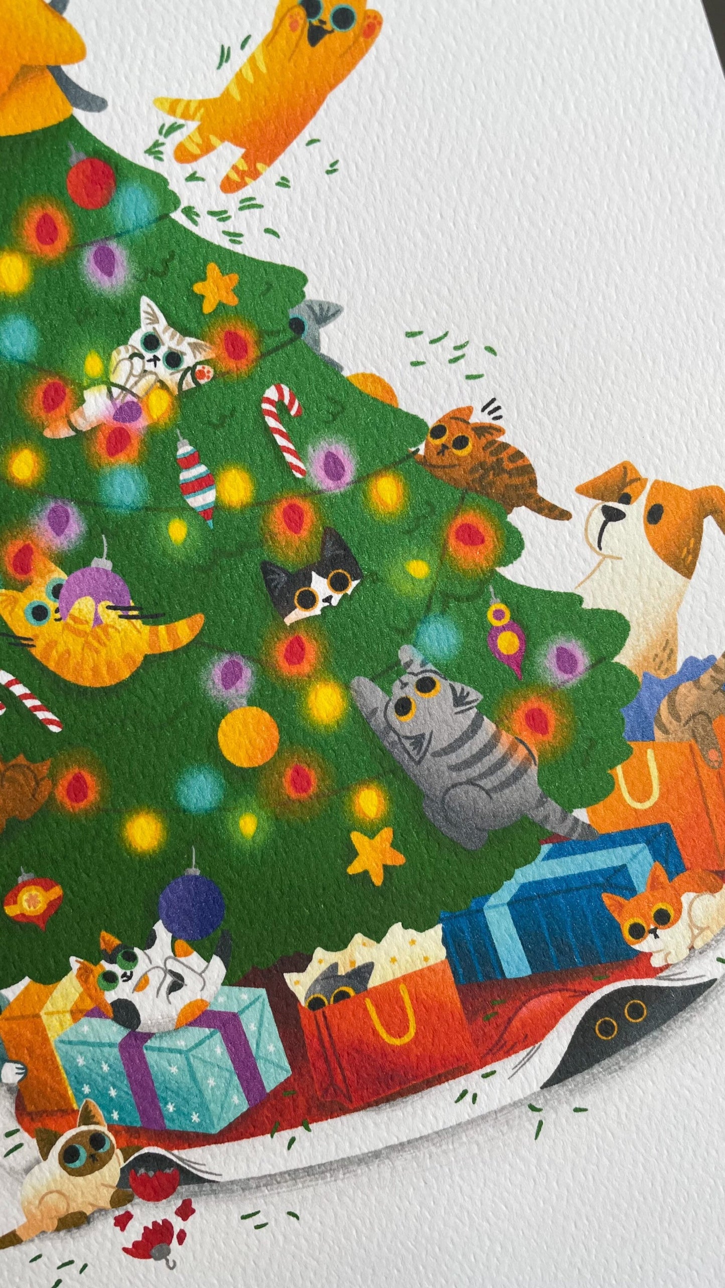 Naughty Kittens Christmas Card